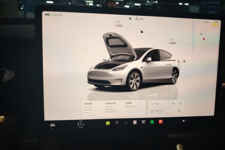 Tesla Model Y 2023 car image #12