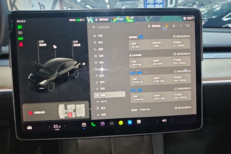 Tesla Model Y 2021 #16 Tesla Model Y 2021 car image #16