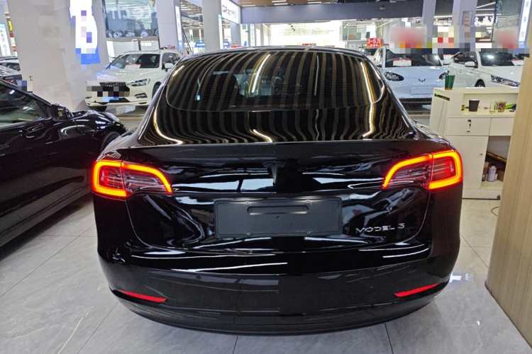 Tesla Model 3 2023 car image #4