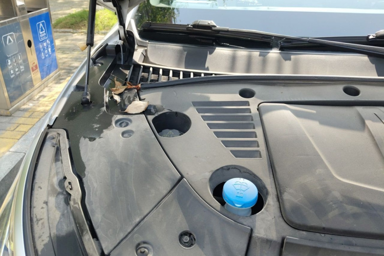 BYD Yuan Plus 2023 car image #28