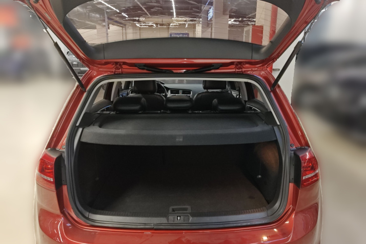 Volkswagen Golf 2016 изображение автомобиля #21