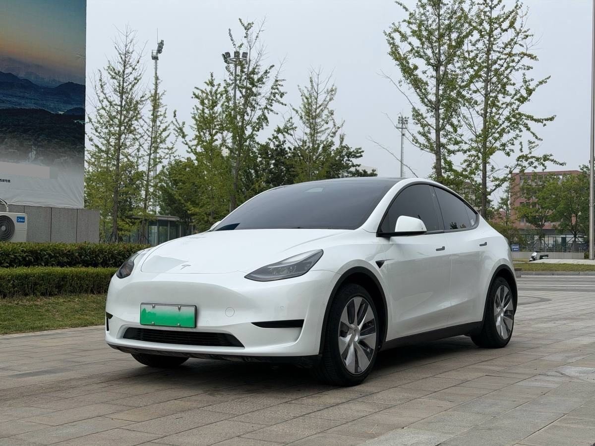 Tesla Model Y 2024 Tesla Model Y 2024 car image