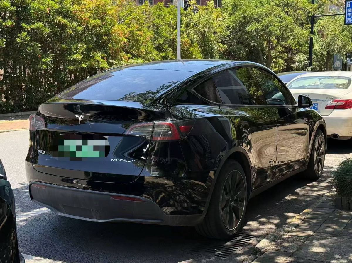 Tesla Model Y 2021 car image #6