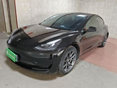 Tesla Model 3 2023 car image 