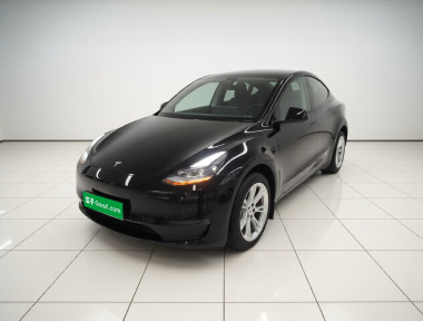 Tesla Model Y 2023 car image 