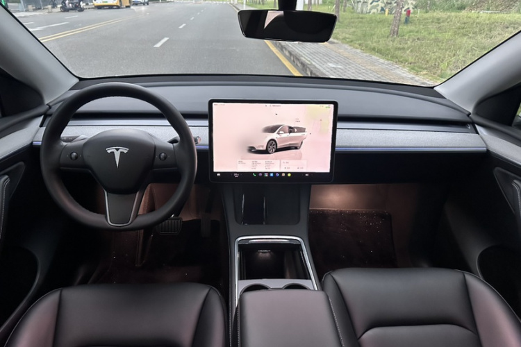 Tesla Model Y 2023 car image #17