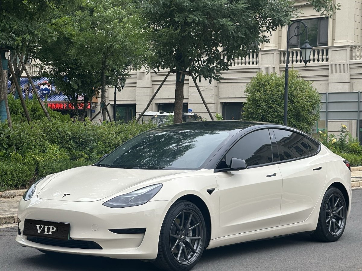 Tesla Model 3 2021 #3 Tesla Model 3 2021 car image #3