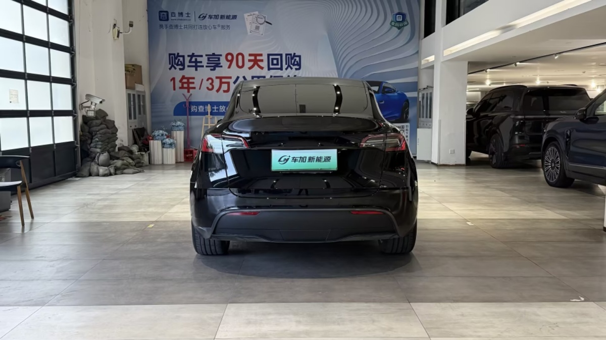 Tesla Model Y 2023 #8 Tesla Model Y 2023 car image #8