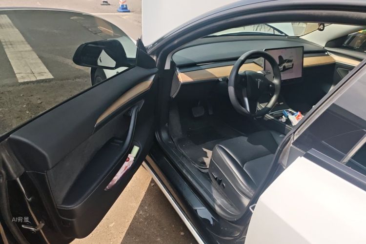 Tesla Model 3 2023 car image #18