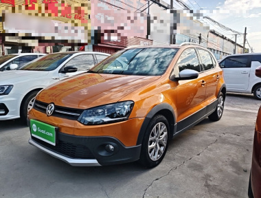 Volkswagen Polo 2016 Volkswagen Polo 2016 car image