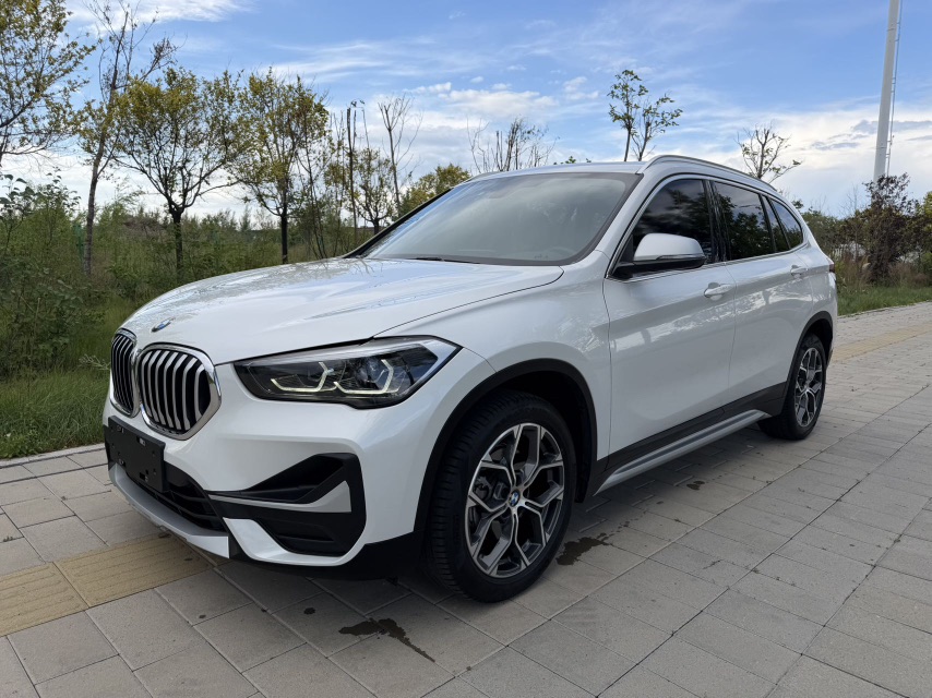 BMW X1 2023 immagine di auto 