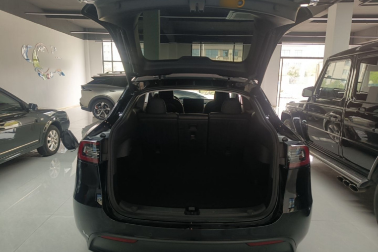Tesla Model Y 2023 #19 Tesla Model Y 2023 car image #19