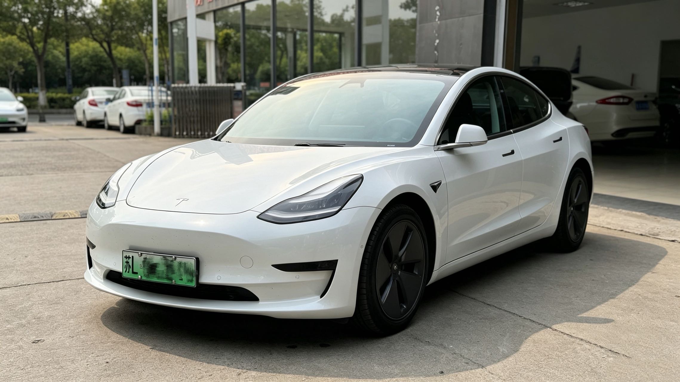 Tesla Model 3 2020 immagine di auto 