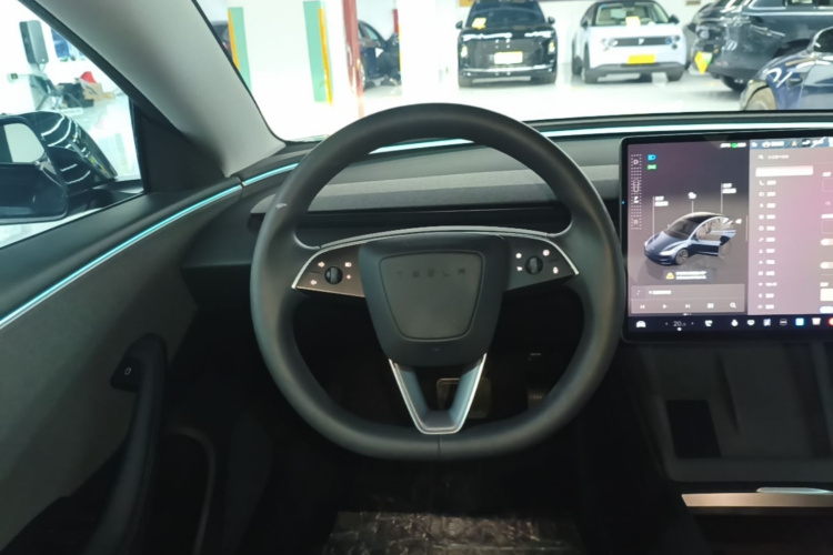 Tesla Model 3 2024 immagine di auto #11