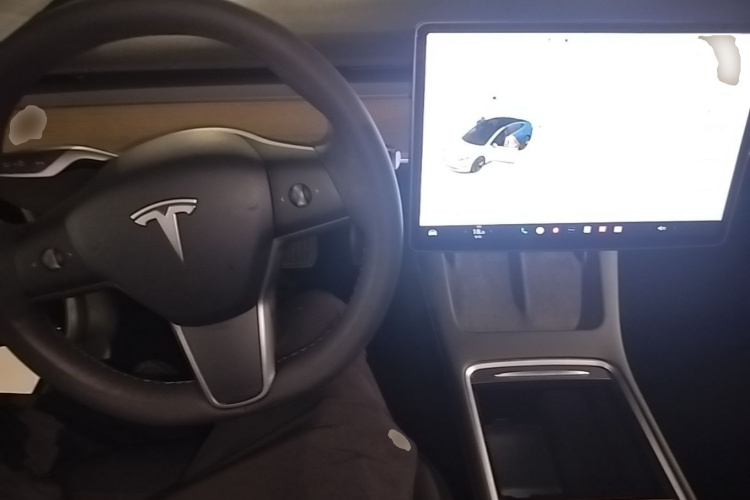 Tesla Model 3 2021 car image #10