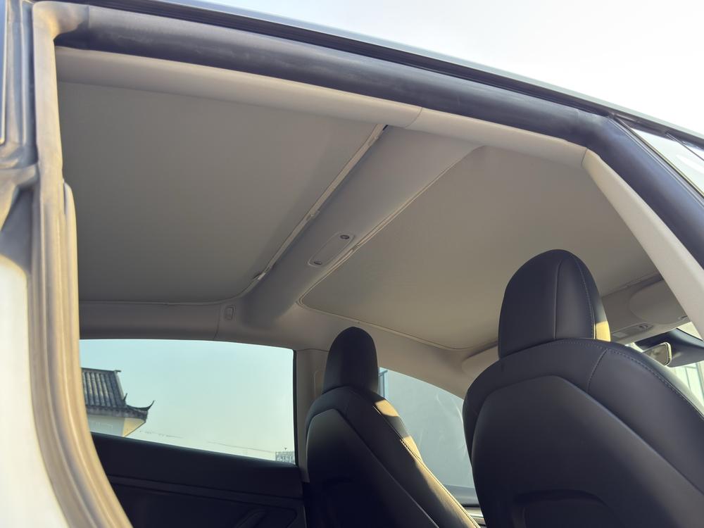 Tesla Model 3 2021 car image #14