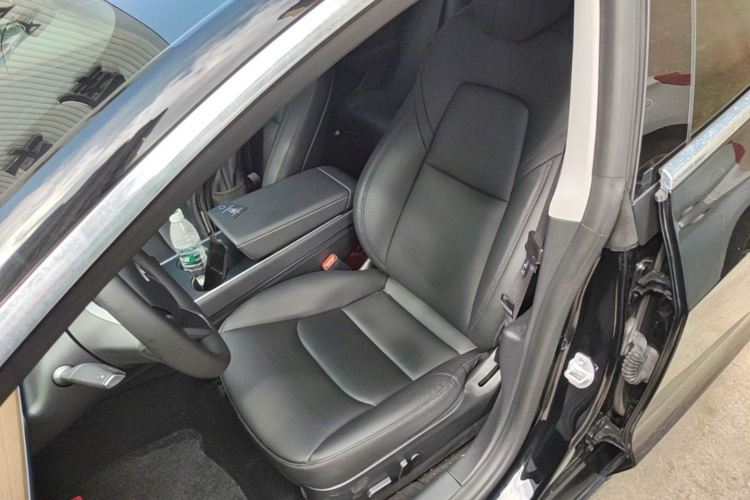 Tesla Model 3 2020 immagine di auto #19