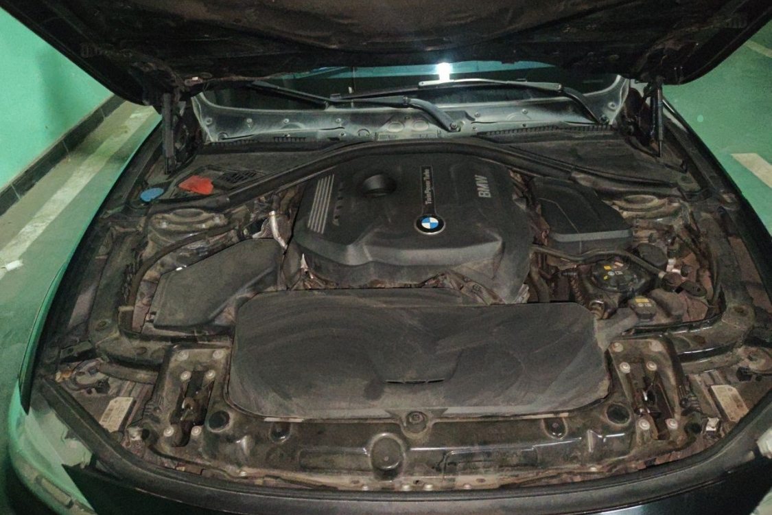 BMW 3 Series 2017 car image #10