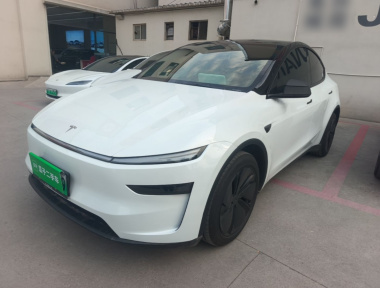 Tesla Model Y 2025 car image 