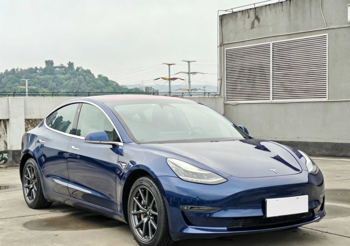 Tesla Model 3 (Imported) 2019 car image #2