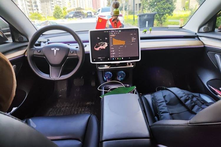 Tesla Model 3 2021 car image #7