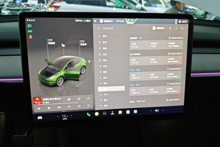 Tesla Model Y 2024 car image #12