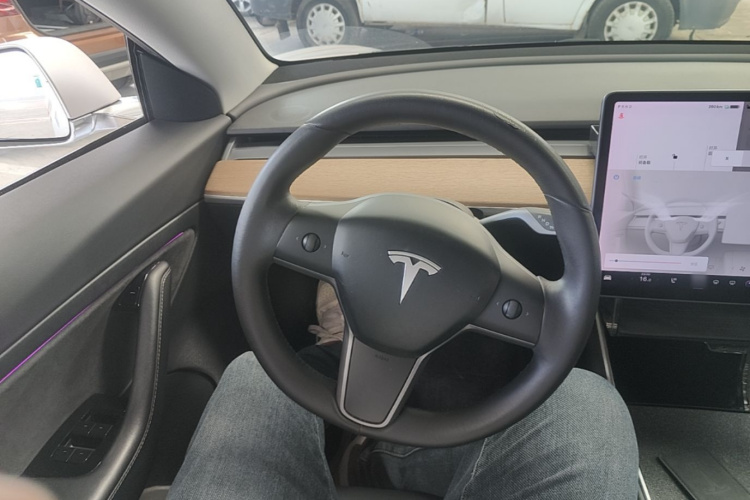 Tesla Model 3 2020 صورة سيارة #11