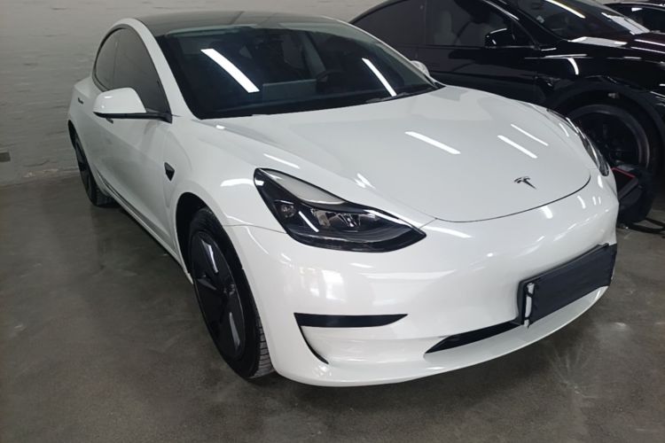 Tesla Model 3 2021 car image #4