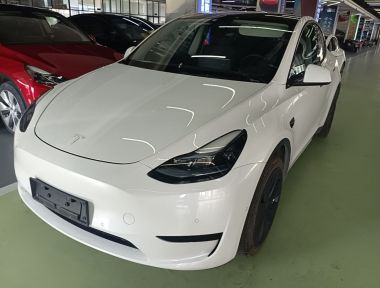 Tesla Model Y 2022 Tesla Model Y 2022 car image