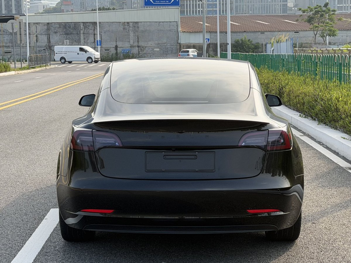Tesla Model 3 2021 #5 Tesla Model 3 2021 car image #5