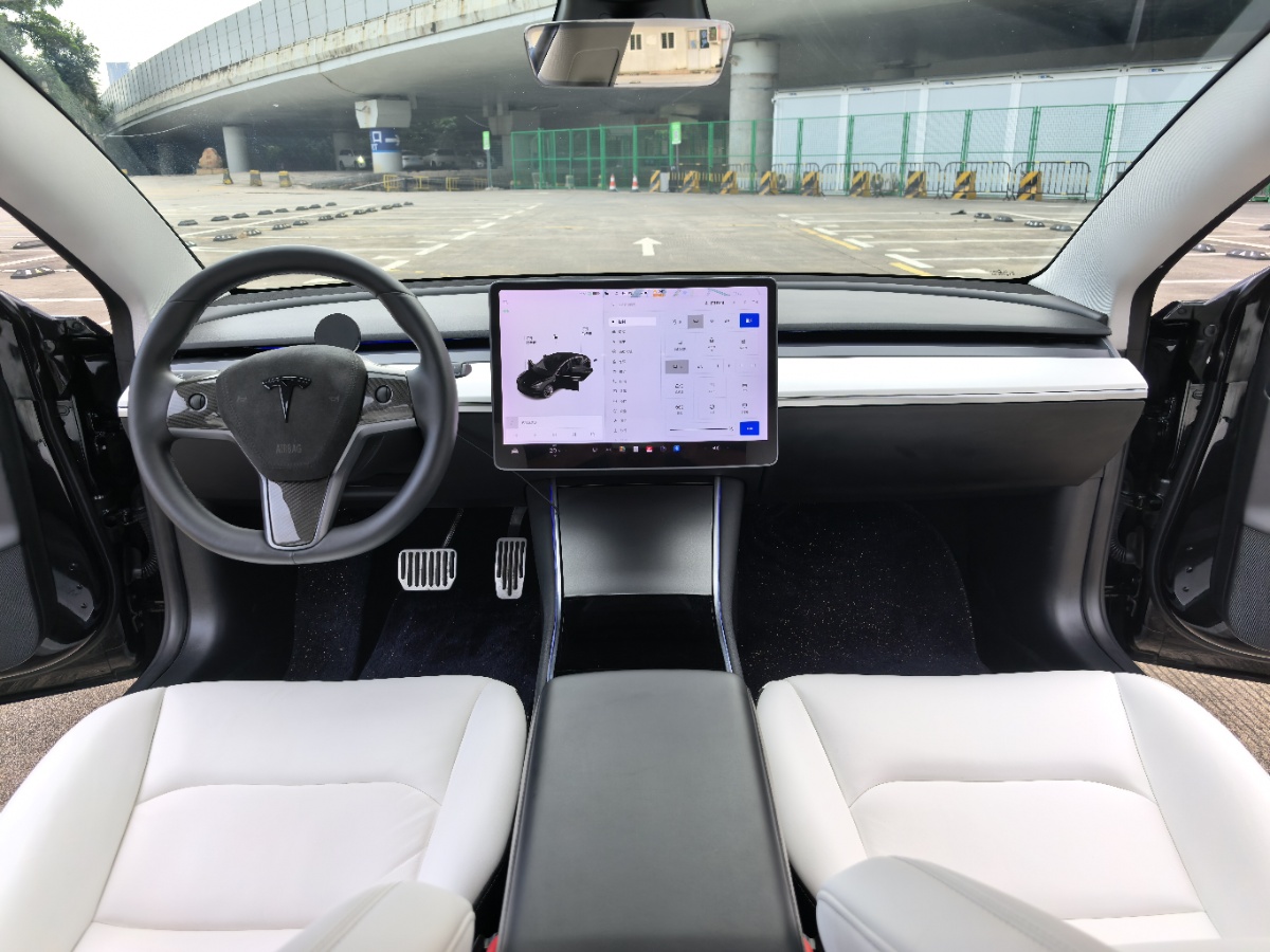 Tesla Model 3 2020 car image #6