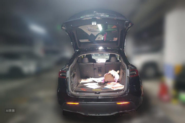 Tesla Model Y 2022 #21 Tesla Model Y 2022 car image #21