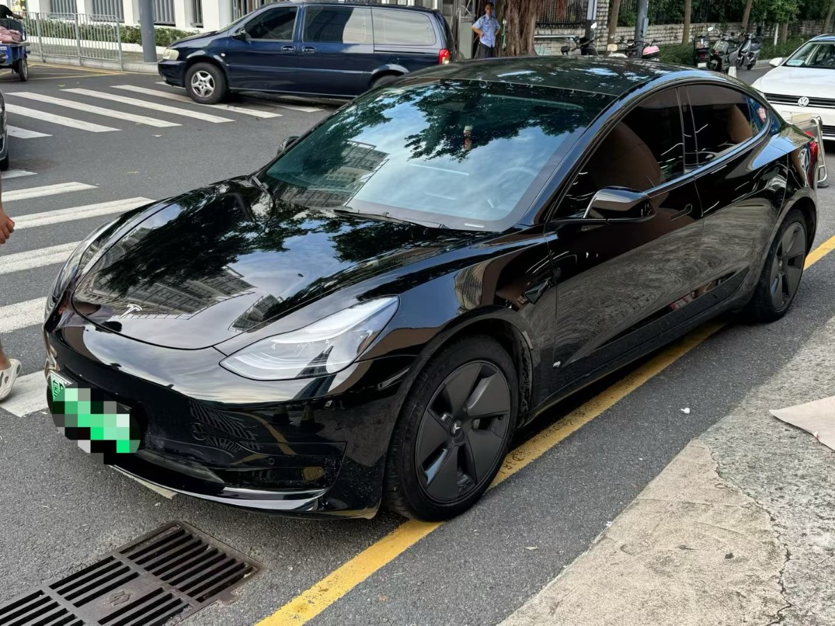 Tesla Model 3 2021 Tesla Model 3 2021 car image