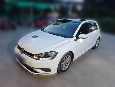 Volkswagen Golf 2019 Volkswagen Golf 2019 car image