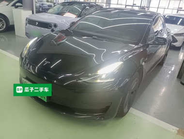 Tesla Model 3 2021 Tesla Model 3 2021 car image