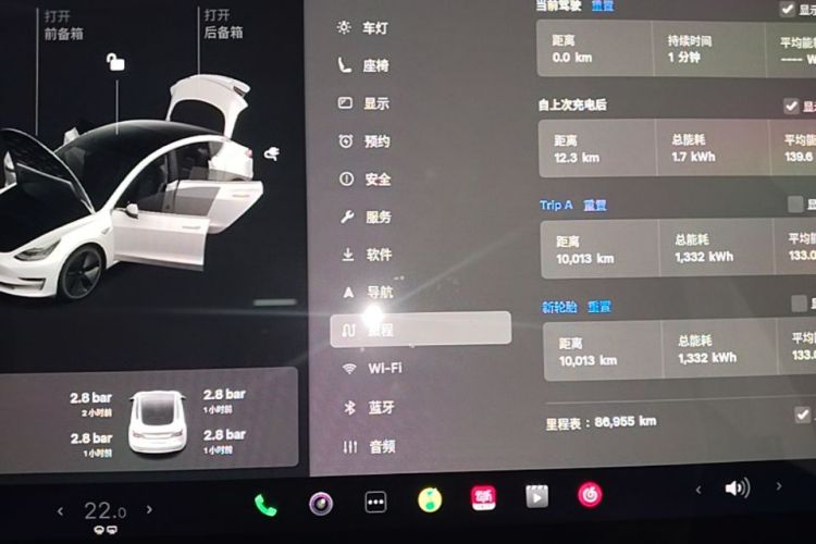 Tesla Model 3 2020 car image #13