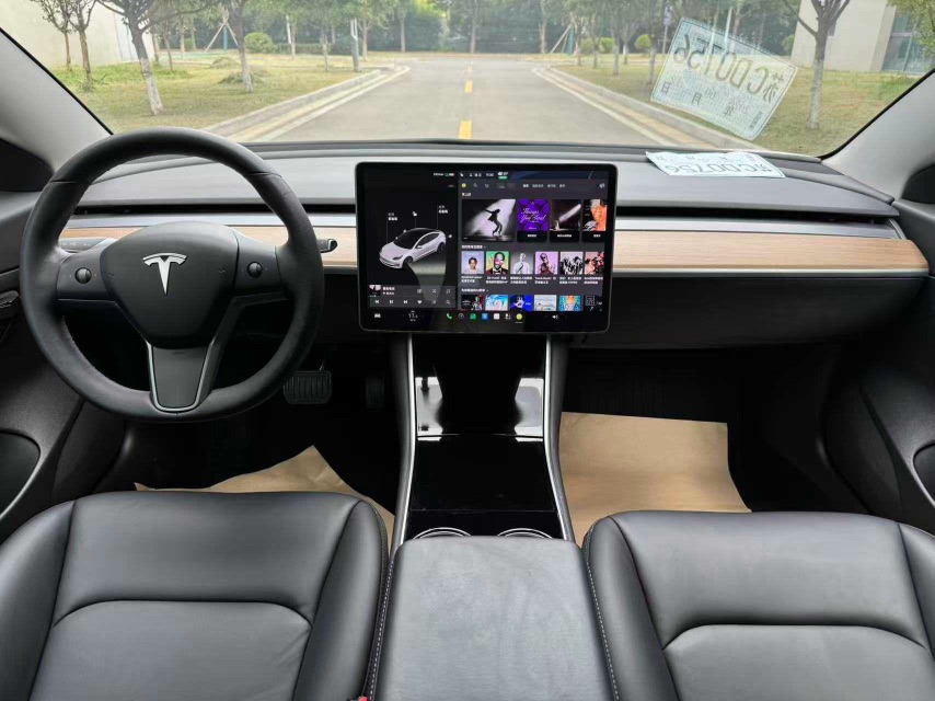 Tesla Model 3 (Imported) 2020 #8 Tesla Model 3 (Imported) 2020 immagine di auto #8