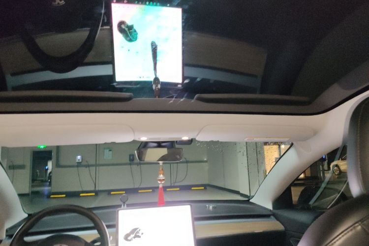 Tesla Model 3 2020 car image #20