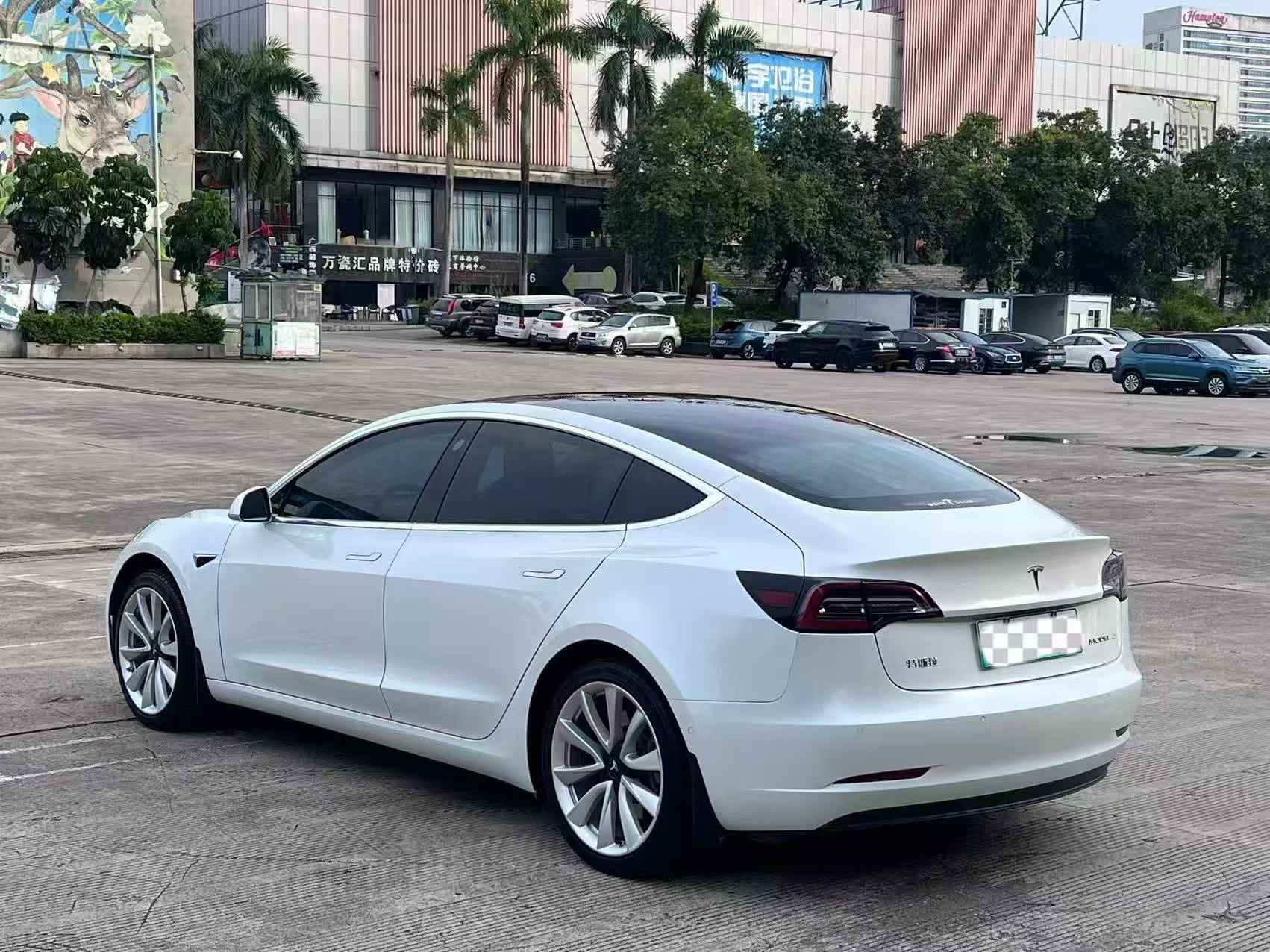 Tesla Model 3 2020 car image #4