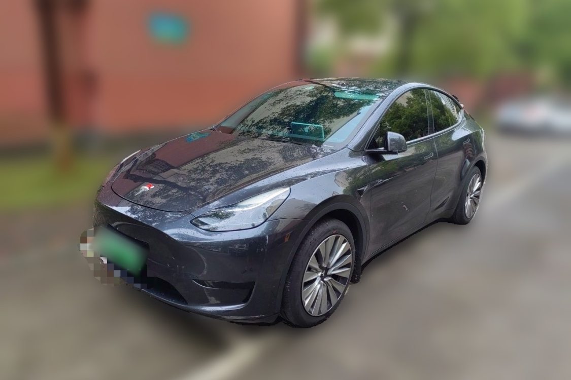 Tesla Model Y 2024 car image 