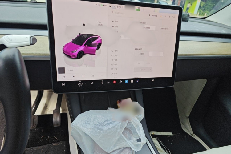 Tesla Model Y 2022 #15 Tesla Model Y 2022 immagine di auto #15