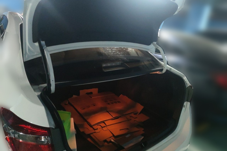 Toyota Corolla 2018 car image #21