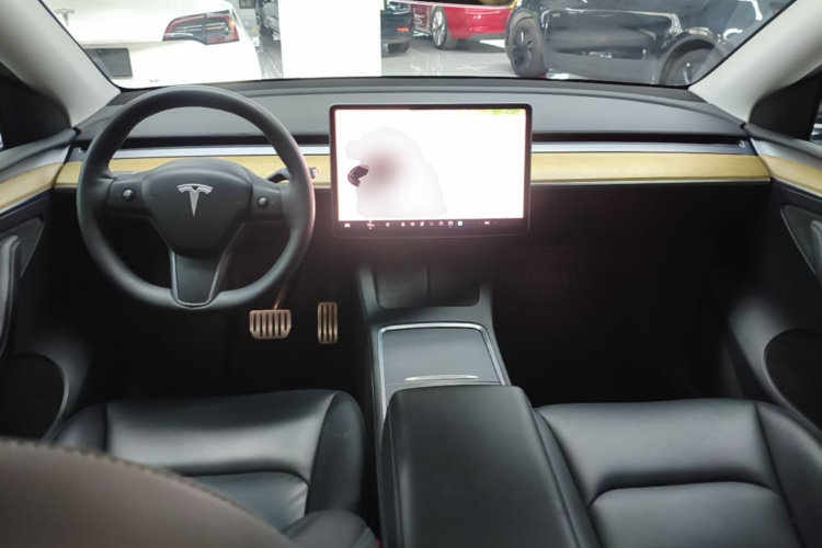Tesla Model Y 2023 car image #10