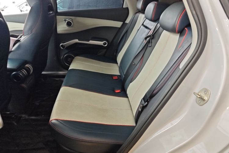 BYD Yuan Plus 2023 car image #13