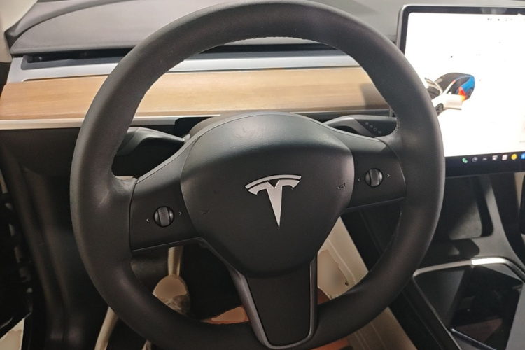 Tesla Model Y 2021 car image #11