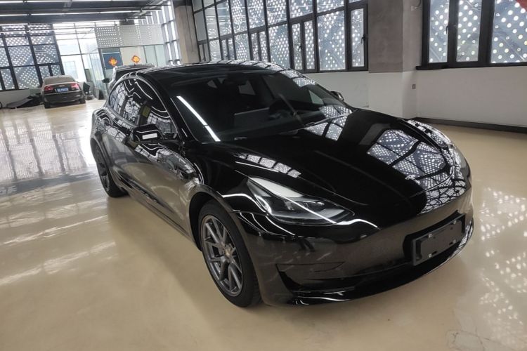Tesla Model 3 2021 immagine di auto #6