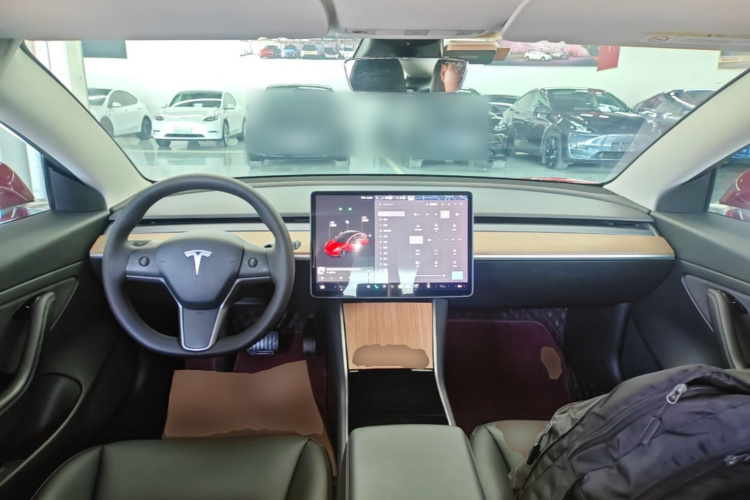 Tesla Model 3 2020 car image #10