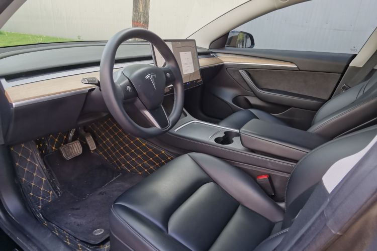 Tesla Model 3 2021 car image #10
