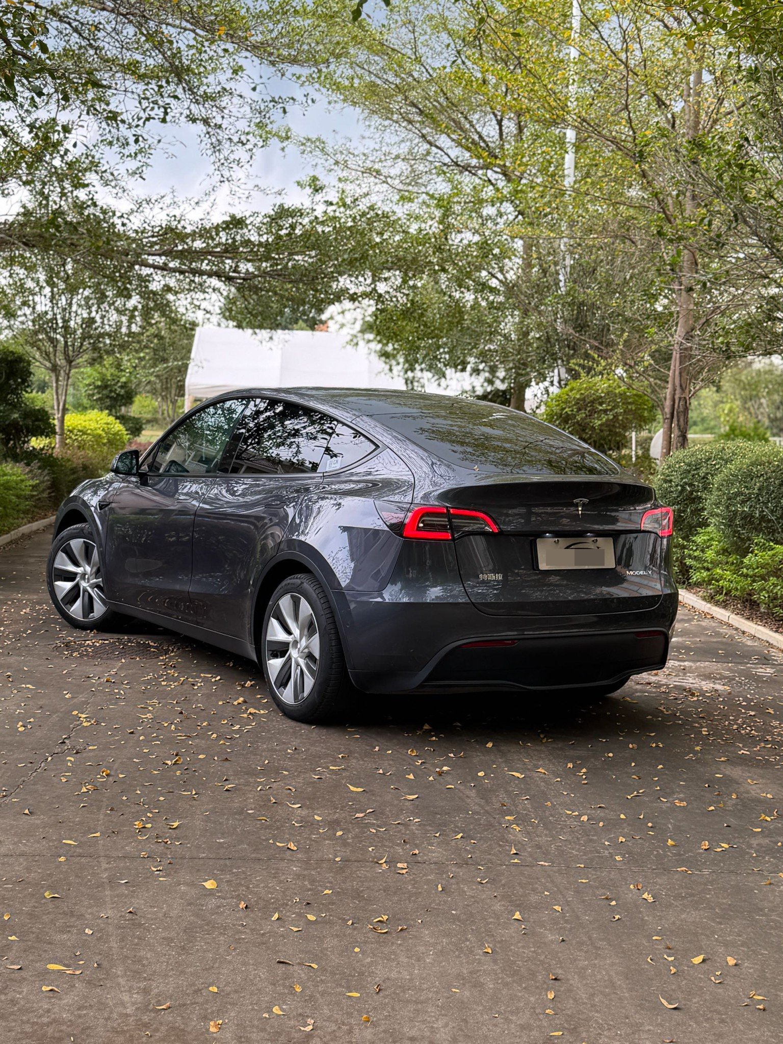 Tesla Model Y 2022 car image #6