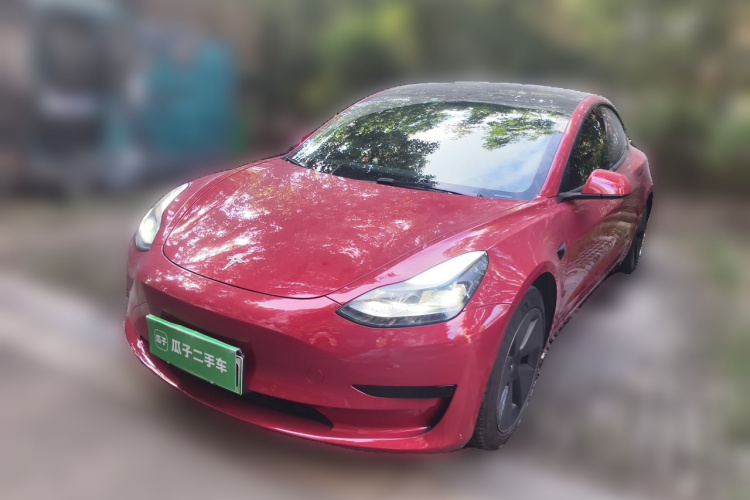 Tesla Model 3 2021 #2 Tesla Model 3 2021 car image #2